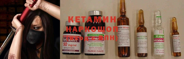 СК Куйбышев