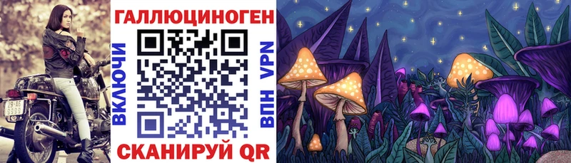 Псилоцибиновые грибы мухоморы  Мурино 